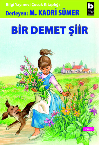 Bir Demet Şiir Mehmet Kadri Sümer