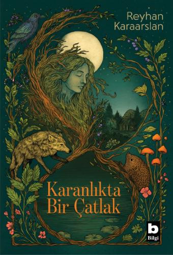 Karanlıkta Bir Çatlak Reyhan Karaarslan
