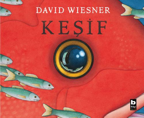 Keşif David Wiesner