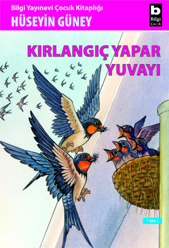 Kırlangıç Yapar Yuvayı Hüseyin Güney