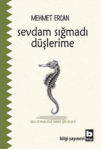 Sevdam Sığmadı Düşlerime Mehmet Ercan